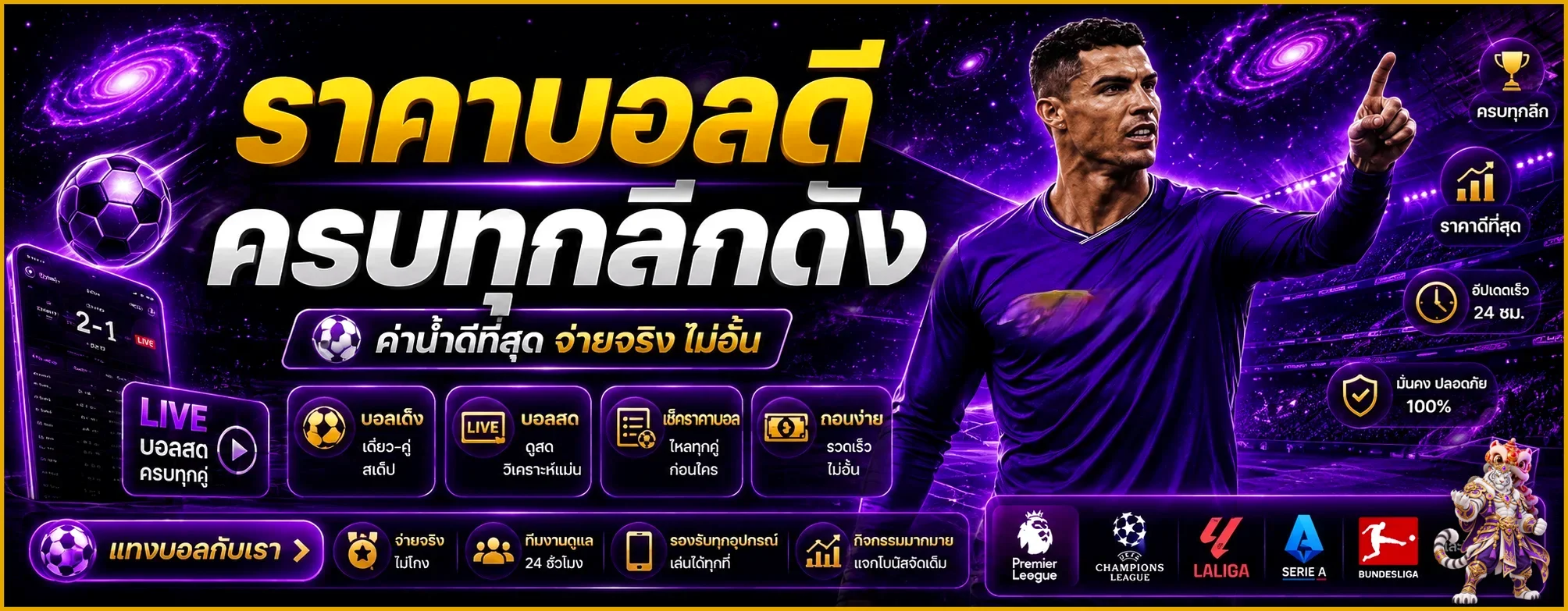 กีฬา MEETANG ภาพประกอบธีมม่วงทอง